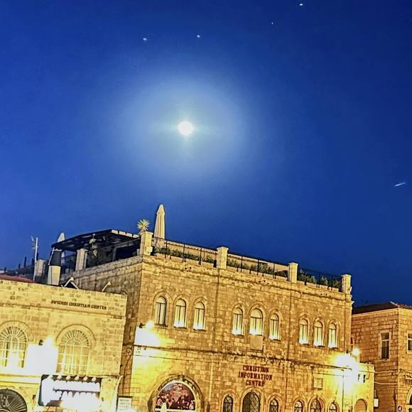 Meet your Posher, Deborah - Picture 1 of 1